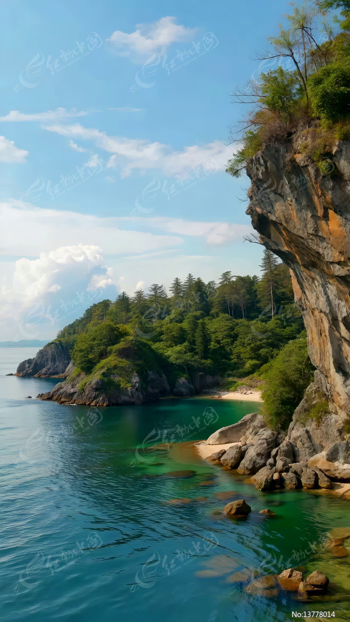 ����������Ȼ���