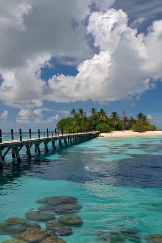 ����ջ�ź������