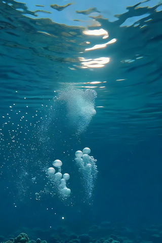 ����������������