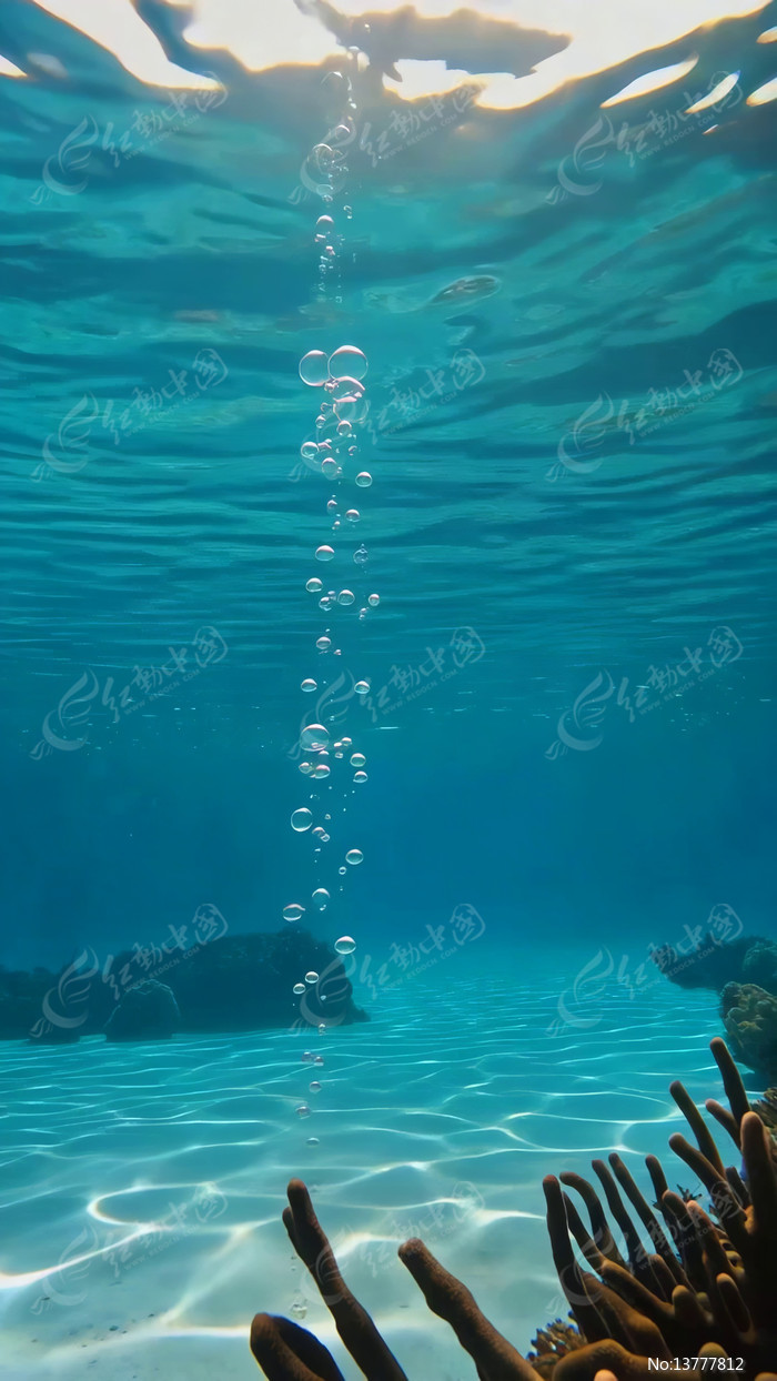 ��������������ɺ������