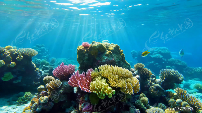 ����ɺ��������Ⱥ����