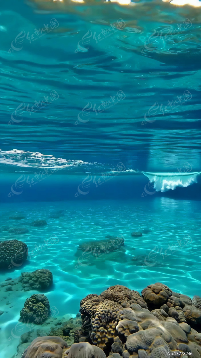 ����ɺ���뺣ˮ����