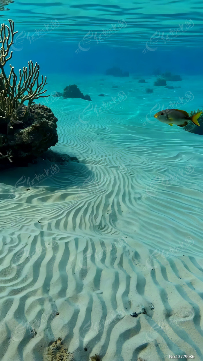 ����ɺ�����ζ�����