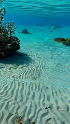 ����ɺ�����ζ�����