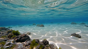 ����ɳ̲��ʯ����