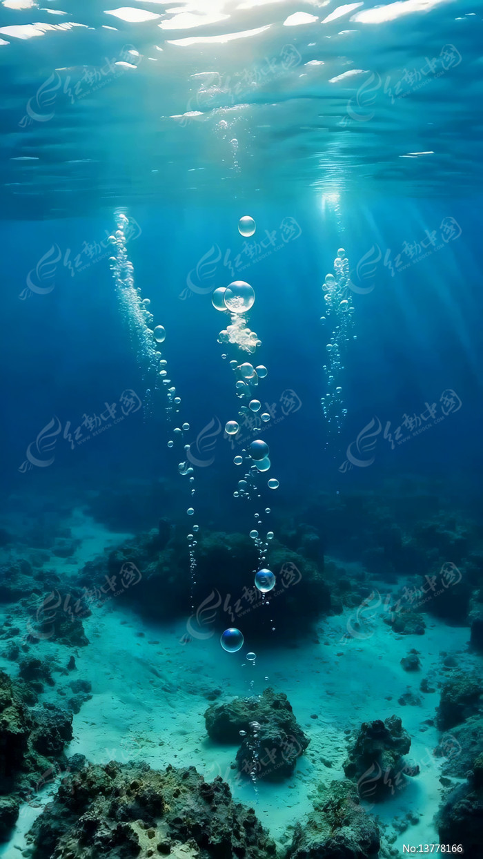 �������������ݾ���