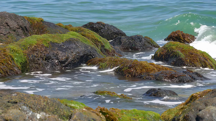 �����Ĵ���̦޺��ʯ����