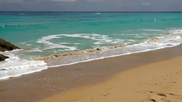 �����Ĵ�ɳ̲����