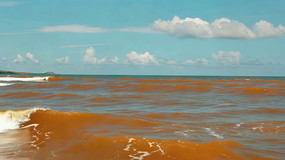 ����Ⱥ�ɫ�����������