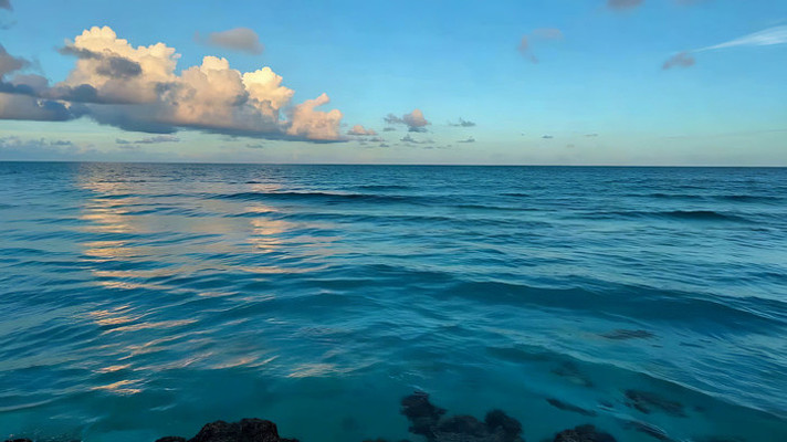 �������������Ȼ���