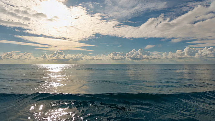 �������⺣�˷羰