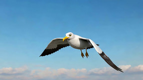 ��Ÿ��������չ�����