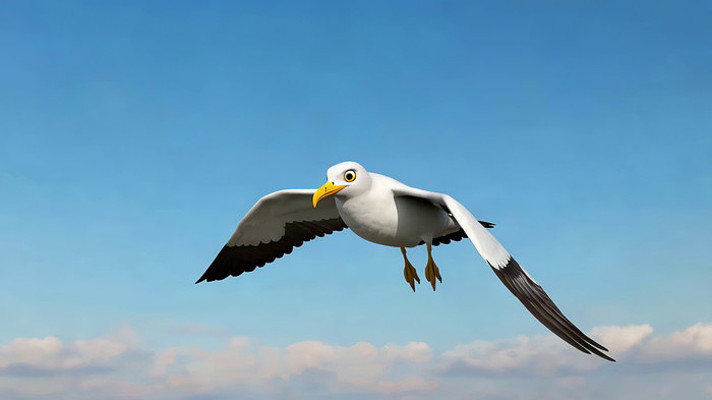 海鸥在蓝天中展翅飞翔 海鸥在蓝天中展翅飞翔