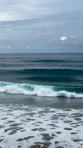 ���Ϸ�ӿ���˻��벨��