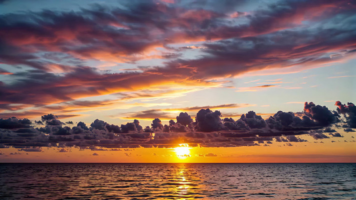 ������������Ʋʾ���