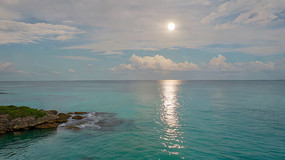 ����������Ȼ�������