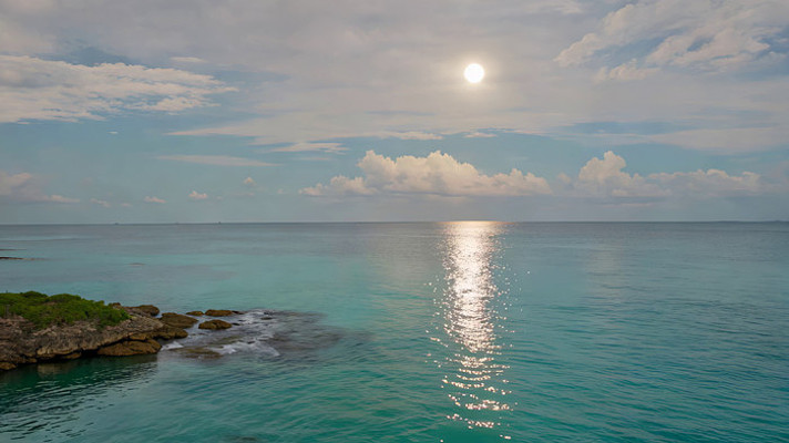 ����������Ȼ�������