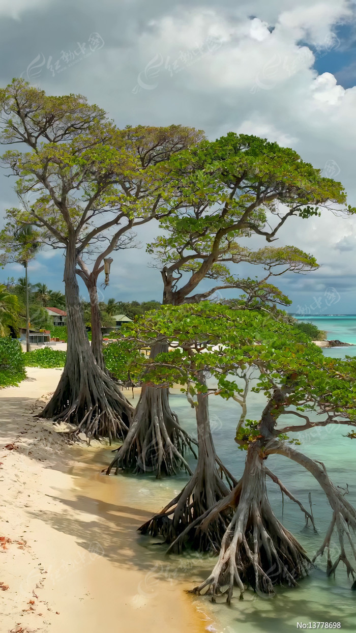 ��̲����ľ��Ȼ����ز�