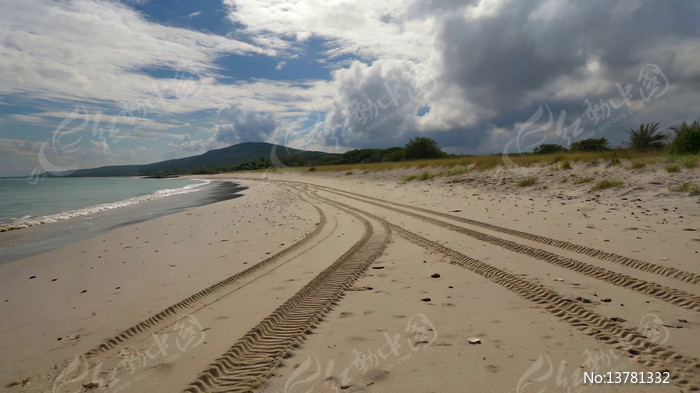 ��̲�ϵĳ�����̥�ۼ�