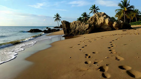 ��̲�ϵĺ��������������