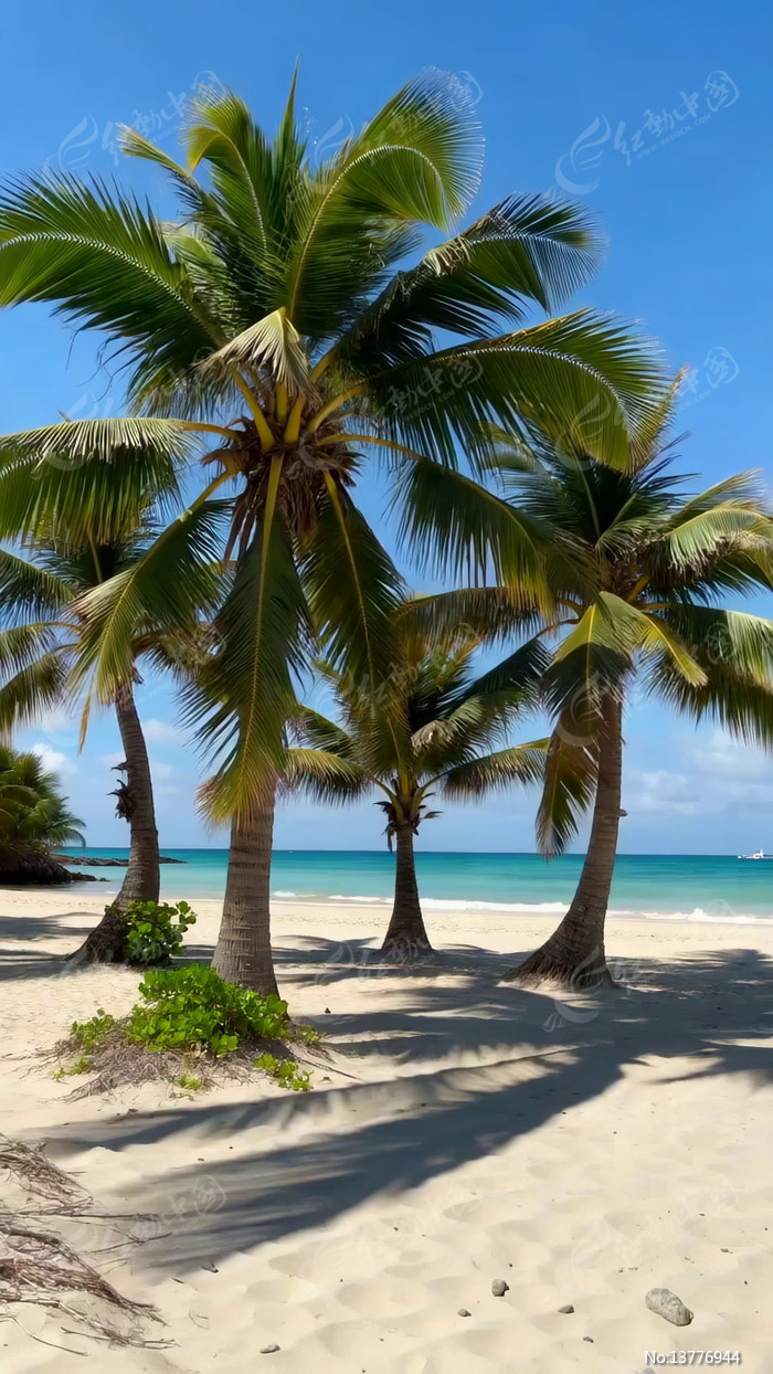 ��̲�������Ȼ���