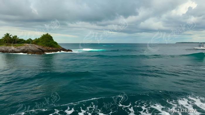 ����С����Ȼ���