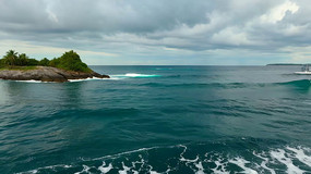 ����С����Ȼ���