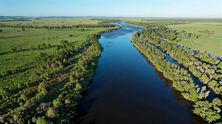 ���Ĳ�ԭ����ɭ�ַ��