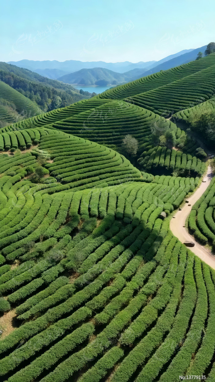 ���Ĳ����԰��Ȼ���