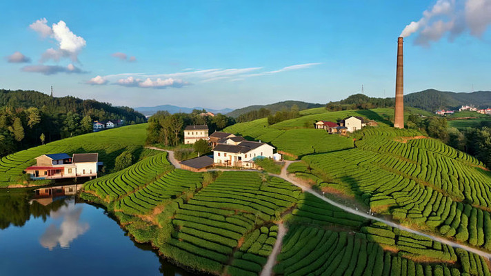 ���Ĳ�԰�����