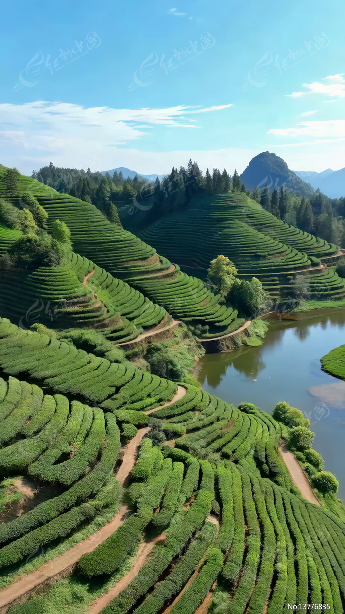 ���Ĳ�԰��Ȼ���