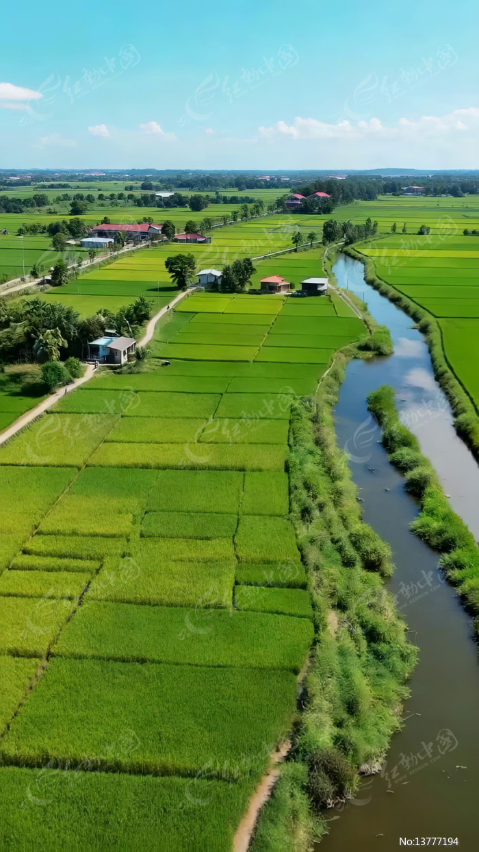 ���ĵ�����������ز�