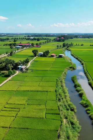 航拍稻田与乡村风光素材 航拍稻田与乡村风光素材