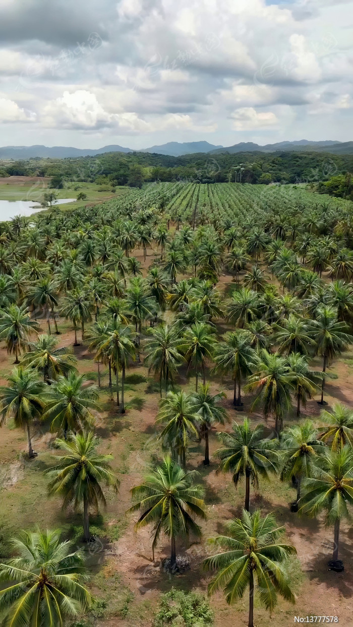 ���Ĵ�ƬҬ��������Ȼ���