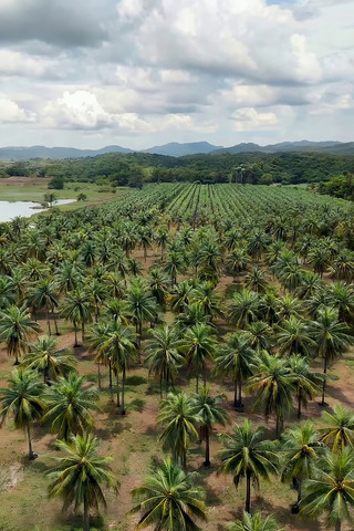 ���Ĵ�ƬҬ��������Ȼ���