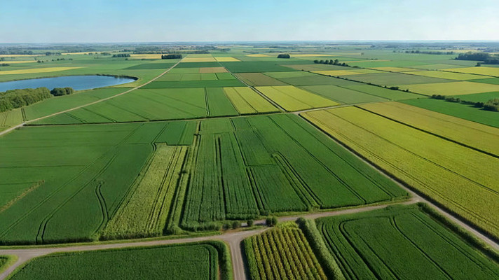 航拍广袤农田田园风光 航拍广袤农田田园风光