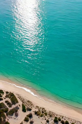 ���ĺ�̲�벨�����Դ�