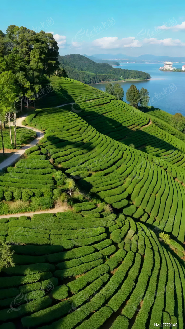 ���ĺ�������״��԰���