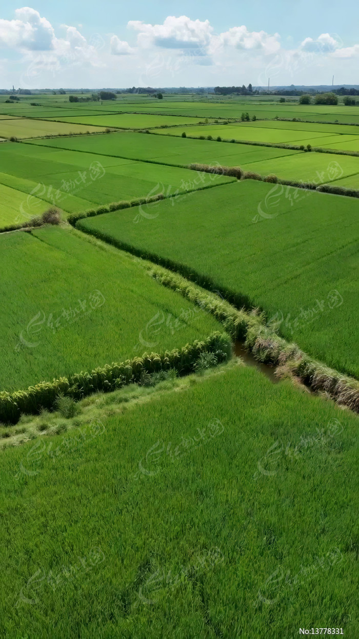 ������ɫ������԰���