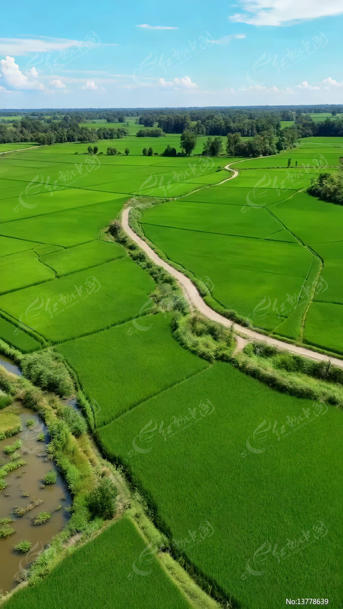 ������ɫ���������С·