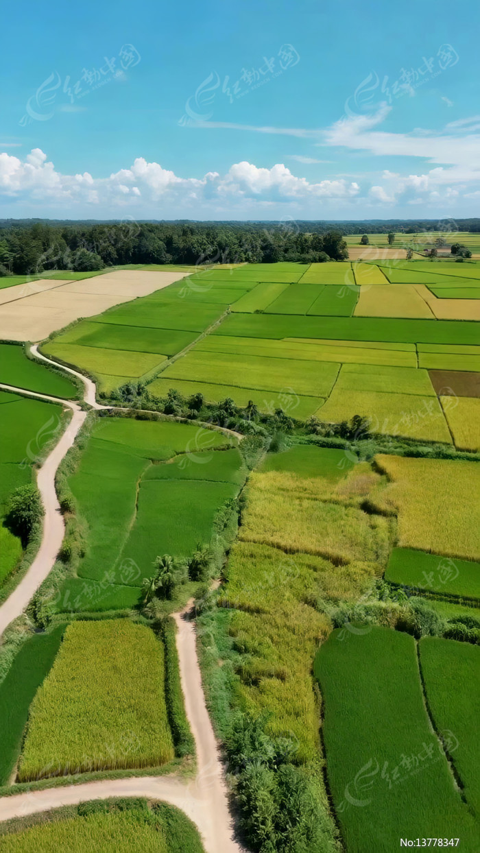 ������ɫũ����԰���