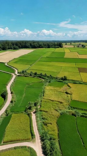 ������ɫũ����԰���