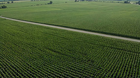 ������ɫũ�����·����