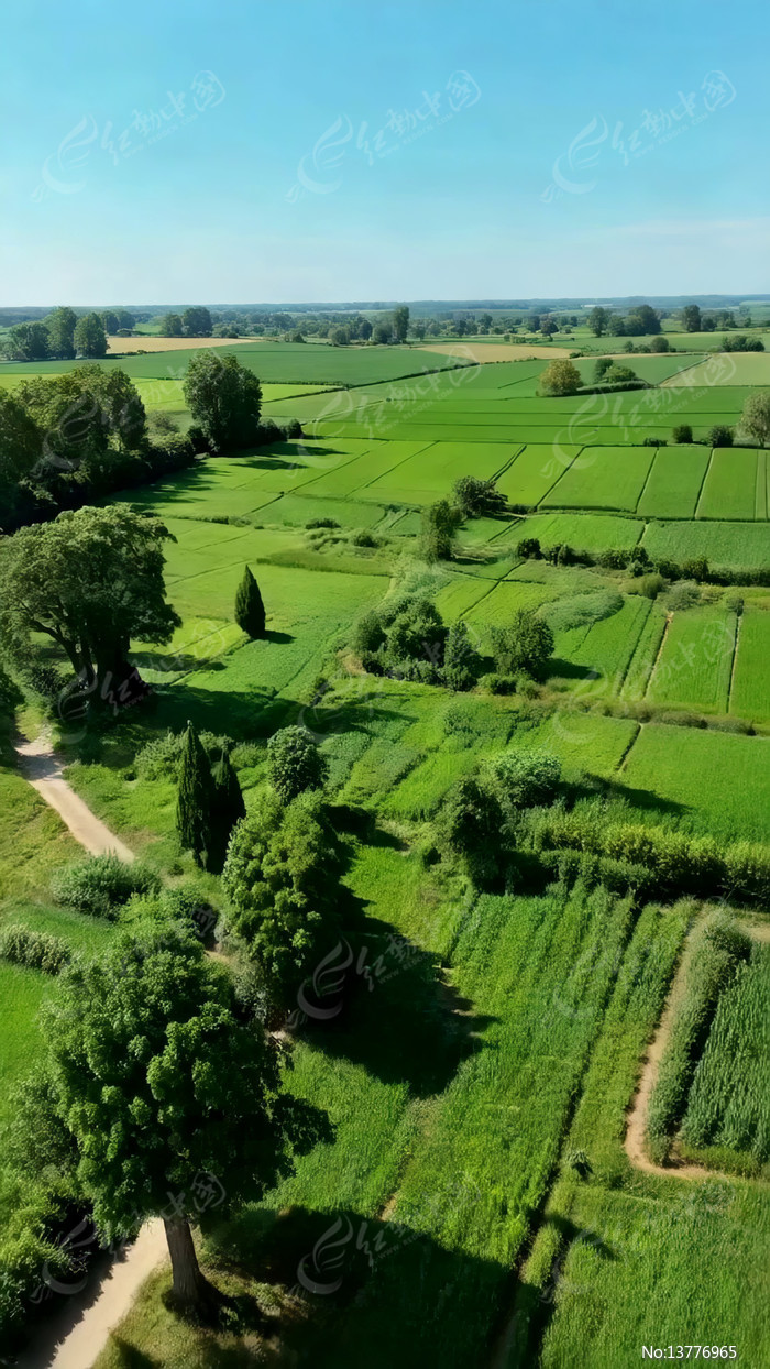 ������ɫũ����Ȼ���