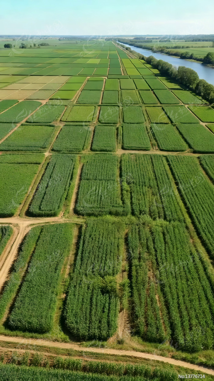 ����ũ���������