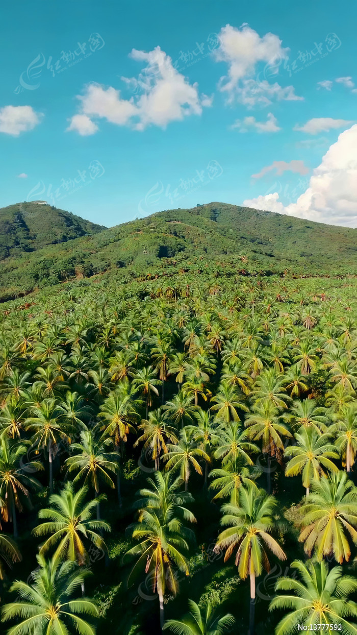 �����ȴ�Ҭ����Ȼ���