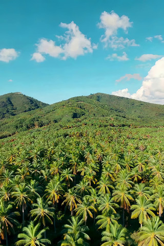 �����ȴ�Ҭ����Ȼ���