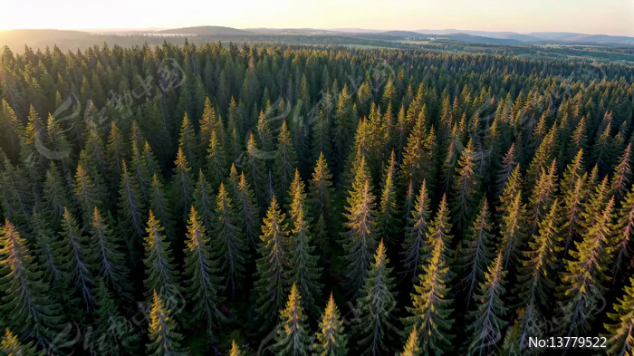 ����ɭ��ȫ��