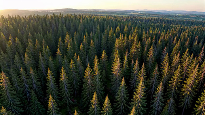 ����ɭ��ȫ��