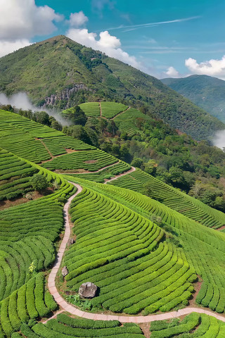 ����ɽ����ɫ��԰���